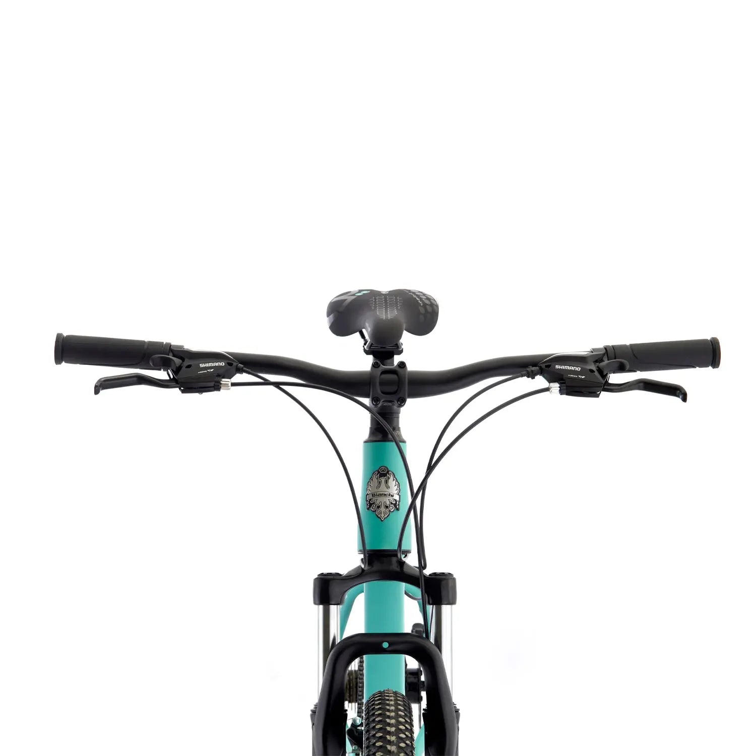 BICICLETA BIANCHI STONE MOUNTAIN 29 SX CELESTE SEMI MATTE Bianchi