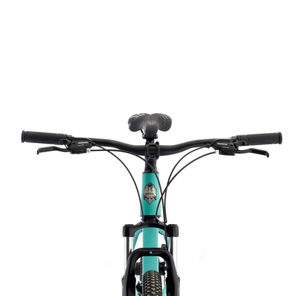 BICICLETA BIANCHI STONE MOUNTAIN 29 SX CELESTE SEMI MATTE Bianchi