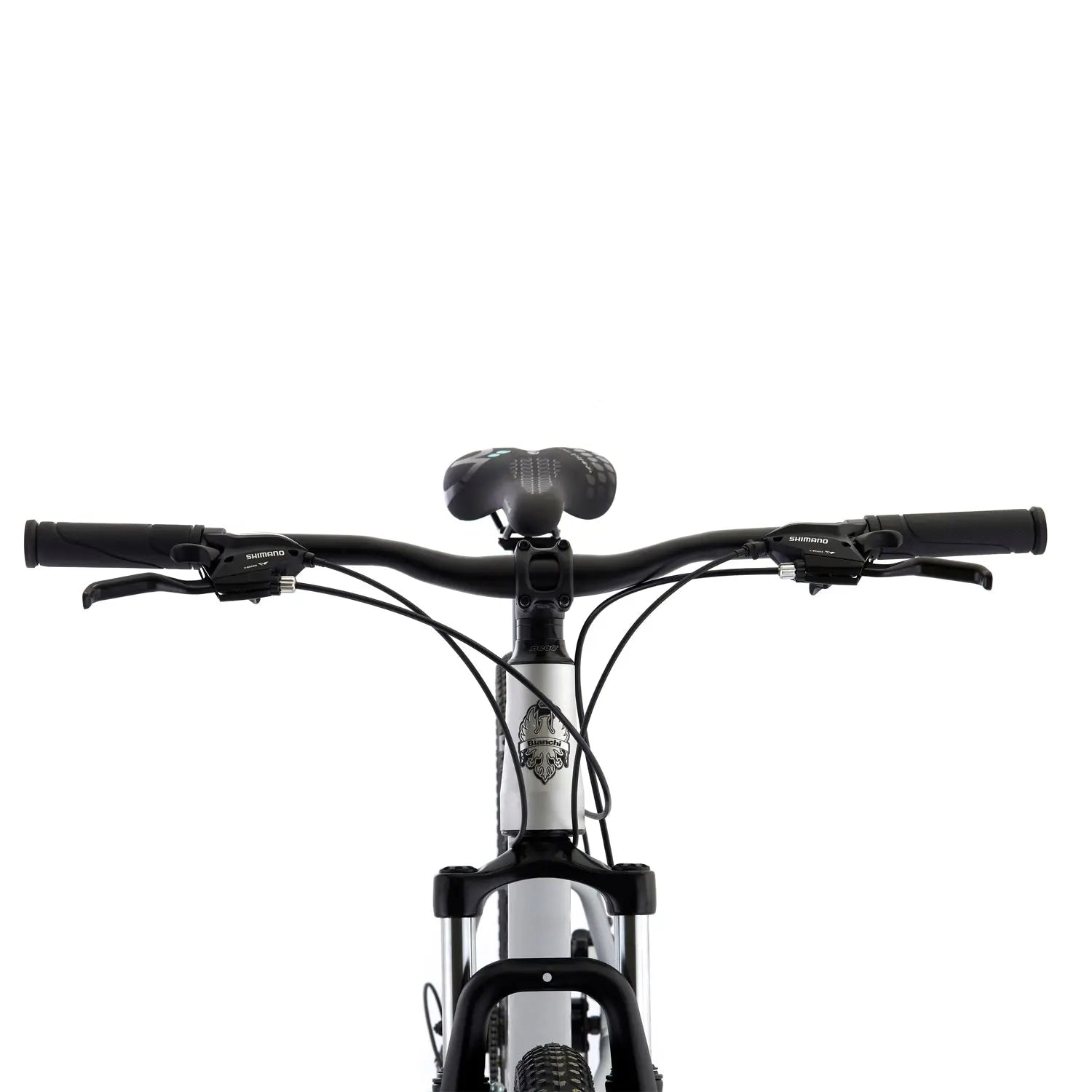BICICLETA BIANCHI STONE MOUNTAIN 29 SX ALLOY PLA SEMI MATTE Bianchi