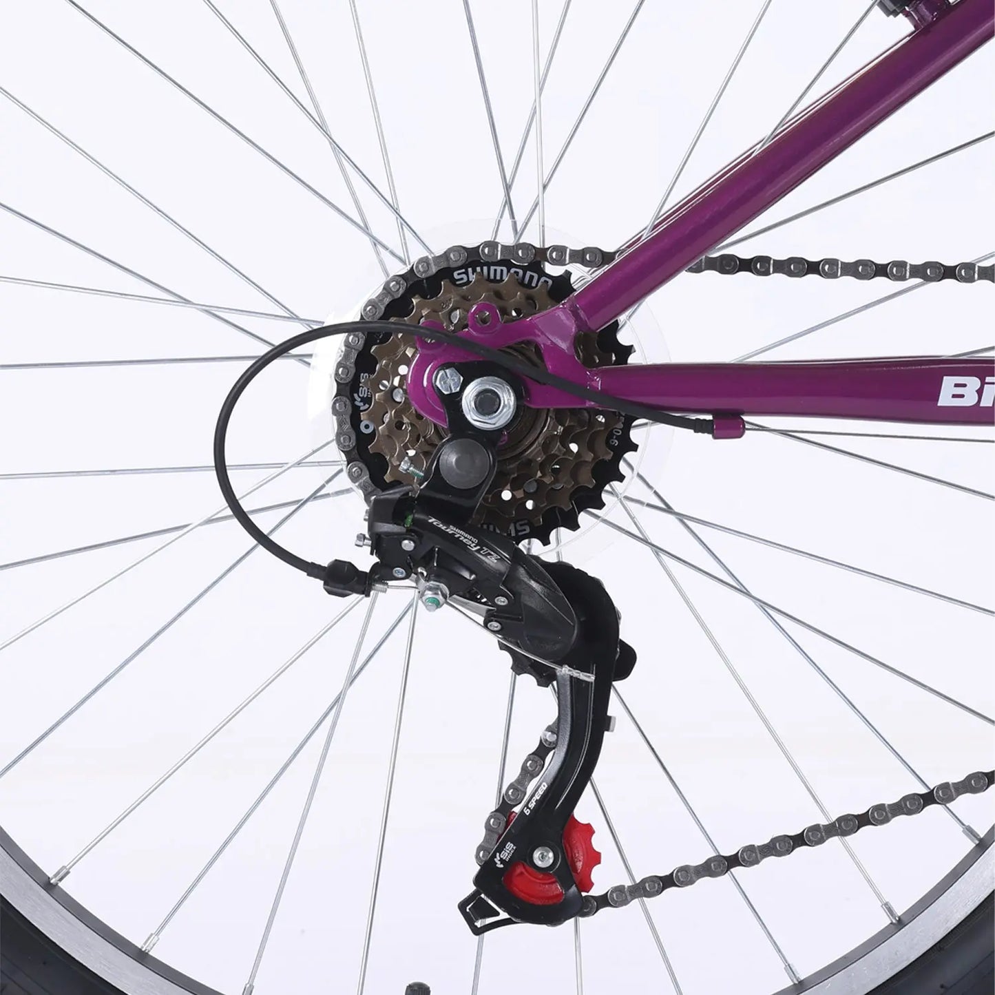 BICICLETA BIANCHI CLASSIC 24 LADY FUXIA - Bianchi Store