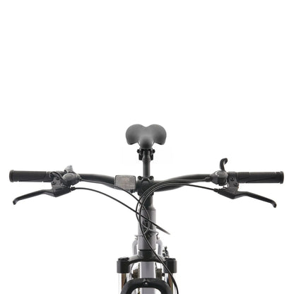 BICICLETA BIANCHI EVOLUTION 29 SX GRIS SEMI MATE Bianchi